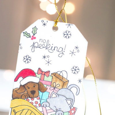 No Peeking Christmas Tag by Taheerah Atchia