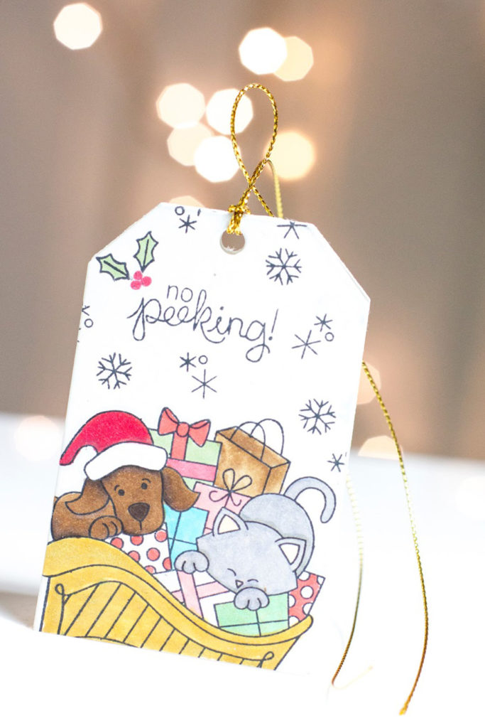 No Peeking Christmas Tag by Taheerah Atchia