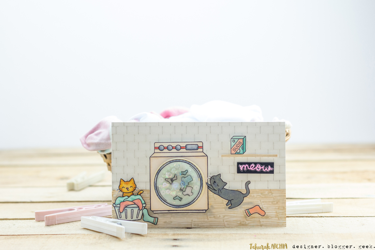 Playful Cats Interactive Washing Machine Card by Taheerah Atchia