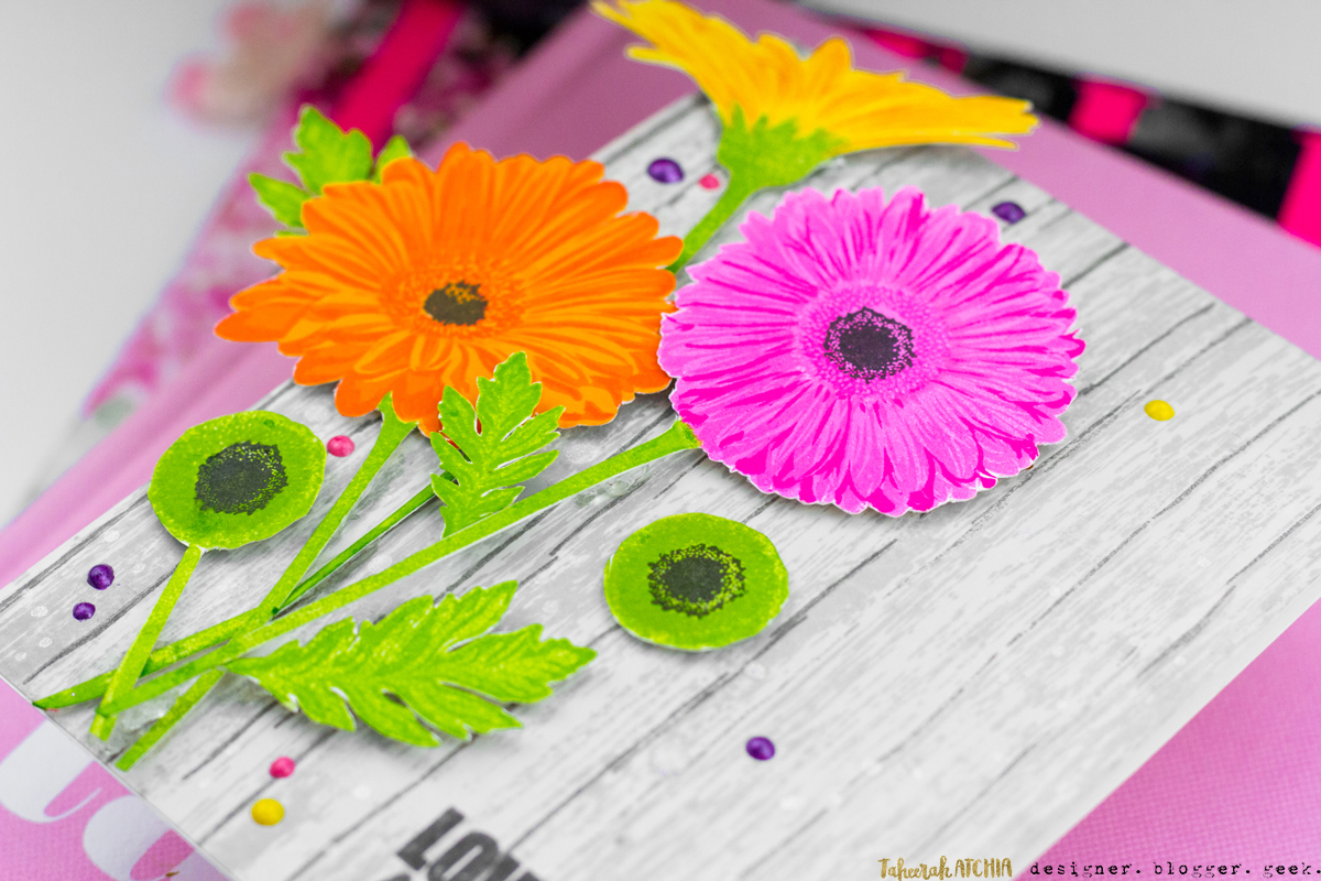 Love You A Lot Gerbera Daisies Card by Taheerah Atchia