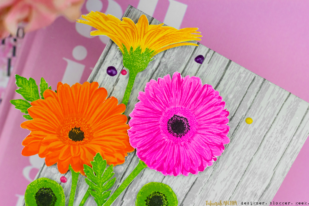 Love You A Lot Gerbera Daisies Card by Taheerah Atchia