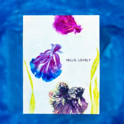 Hello, Lovely Siamese Fighting Betta Fish Card by Taheerah Atchia