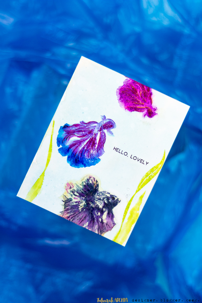 Hello, Lovely Siamese Fighting Betta Fish Card by Taheerah Atchia