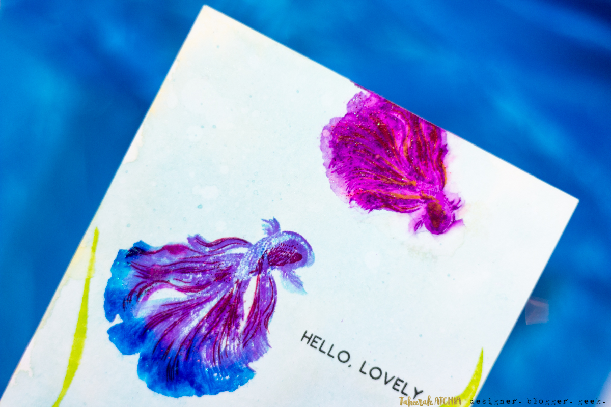 Hello, Lovely Siamese Fighting Betta Fish Card by Taheerah Atchia