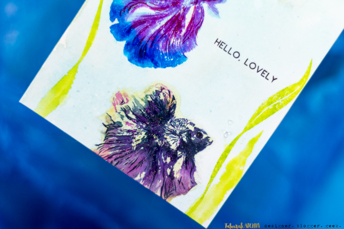 Hello, Lovely Siamese Fighting Betta Fish Card by Taheerah Atchia